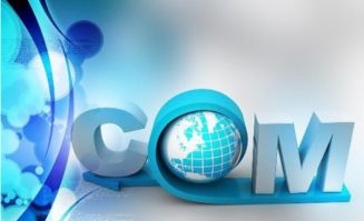 引爆新品牌 快速有效的品牌運(yùn)營(yíng)與營(yíng)銷(xiāo)策劃實(shí)戰(zhàn)指南